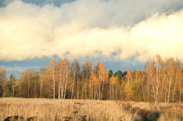 Bright colors of russian autumn