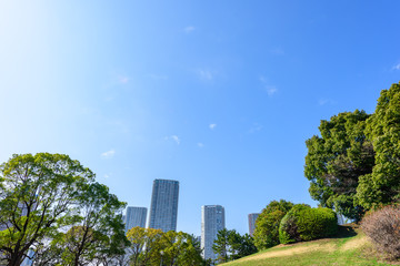 Fototapeta premium 高層マンション群 Highrise condominium