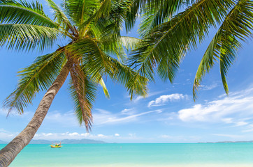 Ferien, Tourismus,  Urlaub, Sommer, Sonne, Strand, Auszeit, Meer, Glück, Entspannung, Meditation: Traumurlaub an einem einsamen, Karibischen Strand :)
