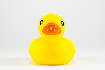 Yellow Rubber Toy Duck, Front Facing