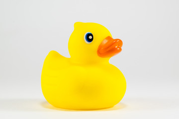 Yellow Rubber Toy Duck, Profile