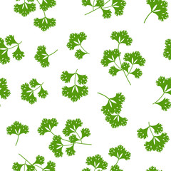 seamless pattern coriander herb, food vector illustration on white background - 195867090