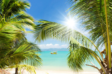 Fototapeta na wymiar Ferien, Tourismus, Urlaub, Sommer, Sonne, Strand, Auszeit, Meer, Glück, Entspannung, Meditation: Traumurlaub an einem einsamen, Karibischen Strand :)