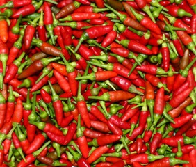 red chili background