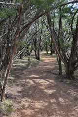 Hiking trail near Waco Texas in Meridian State Park