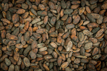 Pattern of the cacao beans background