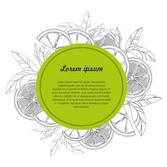 Hand drawn template with citrus fruit isolated on white background. Vector illustration