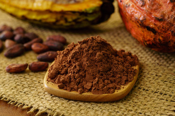 Cacao powder and raw cocoa fruit, cacao beans on background
