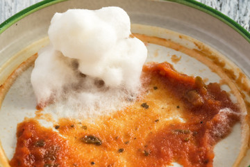 Tomato paste with white mold
