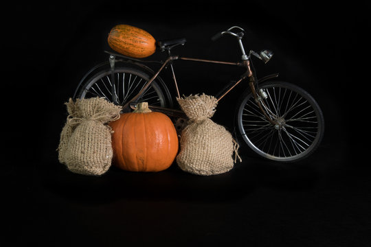 Pumpkins and bicycle on a black background