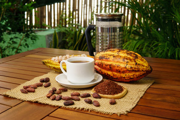 Hot brewed cacao drink, raw cocoa fruit, cacao beans, nibs