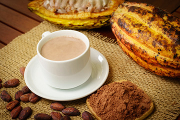 Hot chocolate drink, raw cocoa fruit, cacao beans, powder