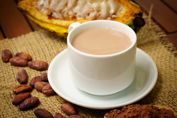 Hot cacao drink, raw cocoa fruit, cacao beans, powder