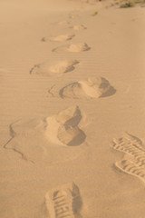 Sandy Footprints