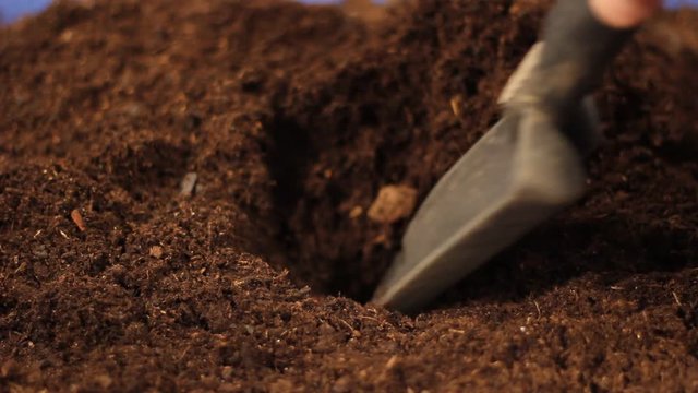 digging a hole for planting