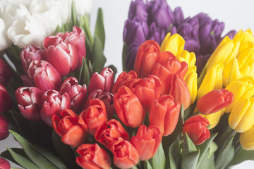 Beautiful spring tulips bouquet