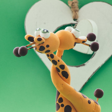 A white heart for two giraffes
