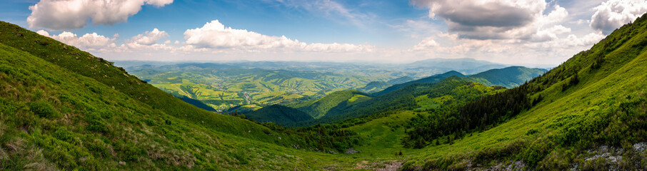 Naklejka premium grassy slopes of Pikui mountain. amazing panorama with view to the valley and Borzhava ridge in a far distance. wonderful day to hike