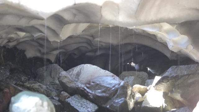 Melting glacier and fir snow. Global warming