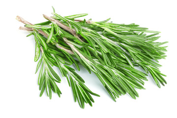 Fresh green rosemary isolated on a white background