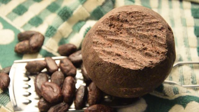 Theobroma cacao Kakaovac &Kappa;&alpha;&kappa;&alpha;ό&delta;&epsilon;&nu;&tau;&rho;&omicron; Kakaobaum Cacaoyer 可可樹 کوکو درخت