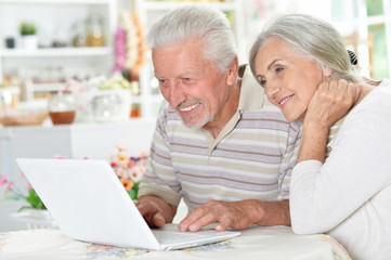 happy senior couple using  laptop 