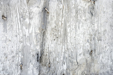 Texture of an old gray wooden board