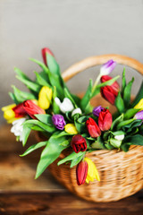 Fototapeta na wymiar Floral background, greeting card, harvesting, mocap for greetings for mother's day, international women's day: bouquet of colorful tulips in basket on wooden background, copyspace