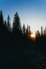 nature, forest, mountains and sunrise