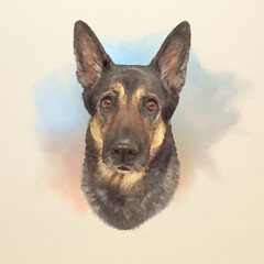 German Shepherd Dog, K-9 dog. Working dog is a dog that is trained specifically to assist police and other personnel in their work. Watercolor Animal collection: Dog. Hand Painted Illustration of Pets