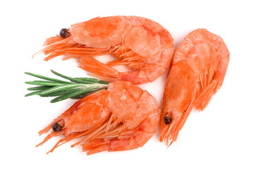 Red cooked prawn or shrimp with rosemary isolated on white background