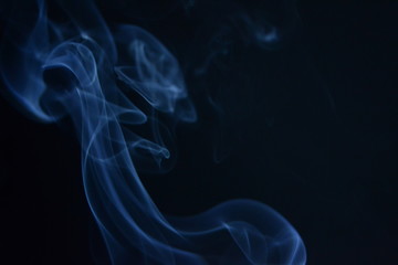 Humo