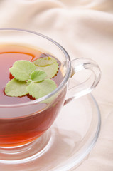 Black tea with mint. Highest class tea. Healthy drink.