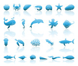 Marine life icons