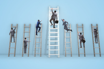 Career progression concept with various ladders