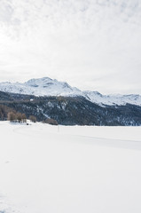 Surlej, Corvatsch, Alpen, Piz Surlej, Piz Corvatsch, Engadin, Oberengadin, Winter, Wintersport,  Langlauf, Winterwanderweg, Graubünden, Schweiz
