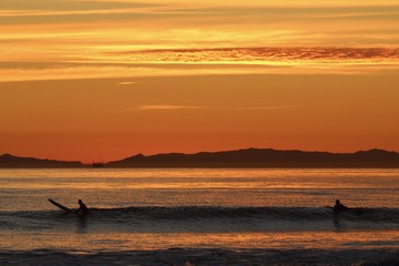Fototapeta premium silhouettes of surfers during a california sunset