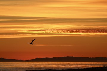 Obraz na płótnie Canvas Orange color sunset in Huntington Beach california