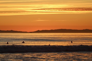 silhouettes of surfers during a california sunset