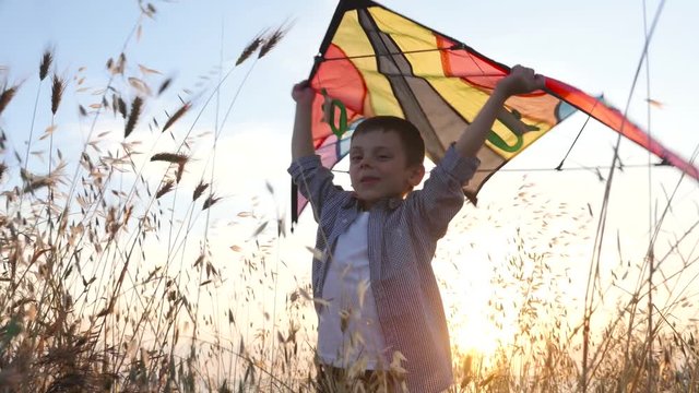 cheerful young boy keeps colorful kite above his head standing in the grass at sunset, illuminated by sunlight warm summer evening