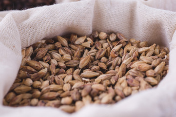 Caramel malt in a bag. Craft beer brewing from grain barley malt in process. Ale or lager from pale...