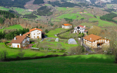 Fototapeta na wymiar Typical Basque landscape, with its mountains and winter colors