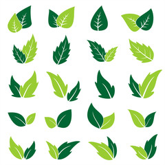 Green leaf icons set. Vector graphic illustration.