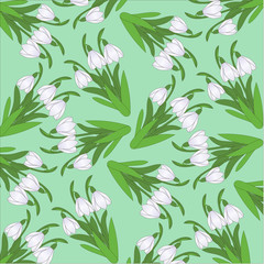 Fototapeta premium pattern from snowdrops on a light green background
