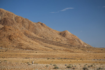 Fototapeta na wymiar Oryx in the desolate dezert in the Namib Naukluft National Park in Namibia