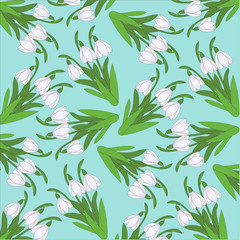 Fototapeta na wymiar pattern from snowdrops on a turquoise background