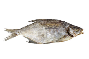 dried fish, ram