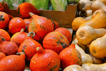 Ripe, various pumpkins on counter of vegetable store or market. Autumn harvest.