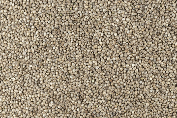Hemp seeds are scattered as a background