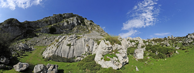 Karstfelsen im Nationalpark Covadonga / Spanien
